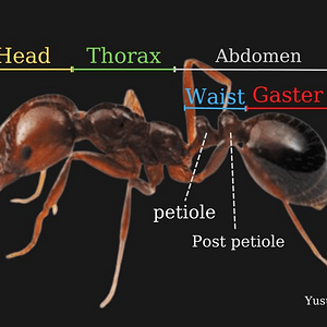1647162538472.png