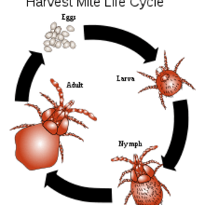 1648417114368.png