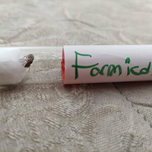 IMG-20220407-WA0001.jpg