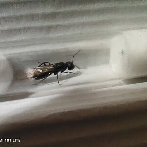 IMG_20220408_005234.jpg