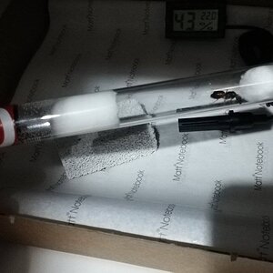 IMG_20220128_223558.jpg