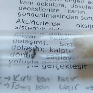 IMG-20220409-WA0028.jpeg