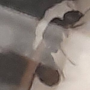 20220415_183325.jpg