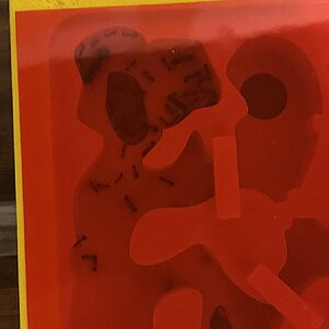 7C070732-12DA-45AE-8D4E-395B78E60124.jpeg