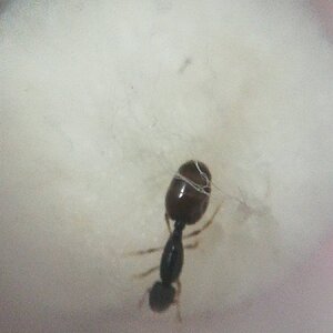 IMG_20220516_210850.jpg