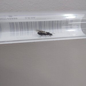IMG-20220524-WA0011.jpg