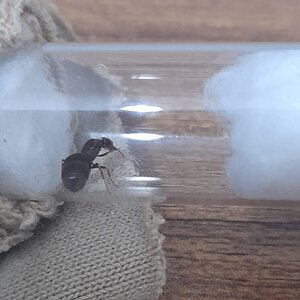 20220525_130917.jpg