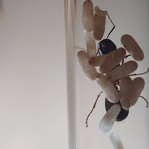 20220601_144459.jpg
