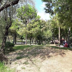 2016-09-14.jpg