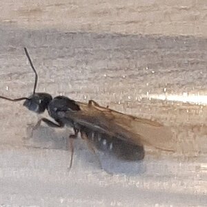 20220611_115636.jpg