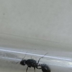 IMG_20250408_185639.jpg