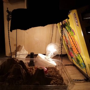 1000002191.jpg