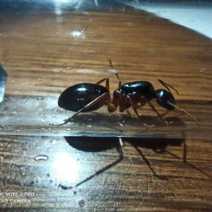 IMG_20250418_212340.jpg