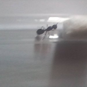 20250420_151830.jpg