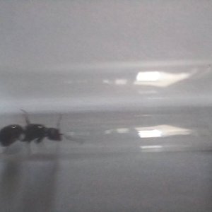 20250420_151513.jpg