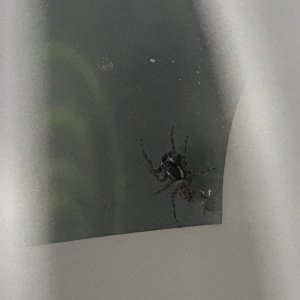 IMG_3302.jpeg