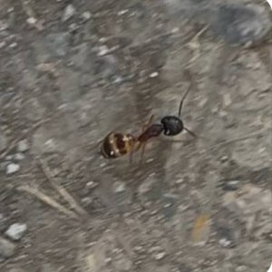 IMG_0794.jpeg