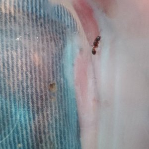 IMG-20250612-WA0011.jpeg