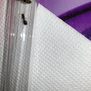 IMG_0432.jpeg