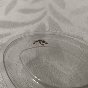 IMG_20250707_211136.jpg