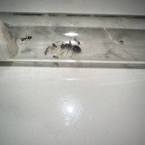 IMG_1220.jpeg