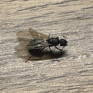 IMG_7774.jpeg