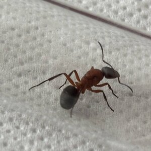 IMG_2467.jpeg
