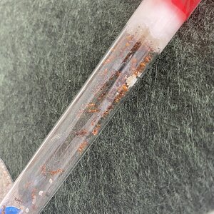 IMG_0577.jpeg