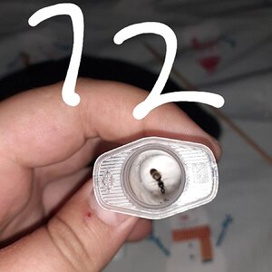20220611_173709.jpg