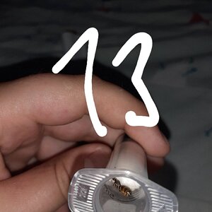 20220611_173943.jpg