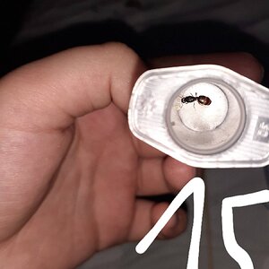 20220611_174724.jpg