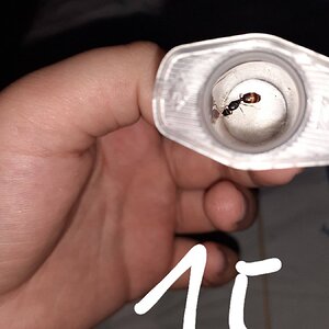 20220611_174730.jpg