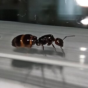 IMG_20220612_170500.jpg