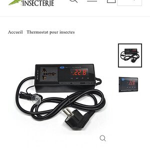 46E13463-AE85-4FF4-96C0-B39D37308666.jpeg