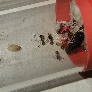 20220620_181816.jpg
