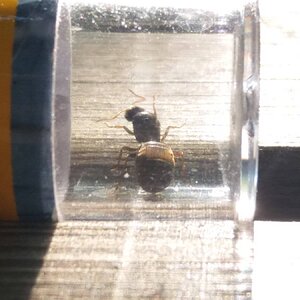 20220621_171912.jpg