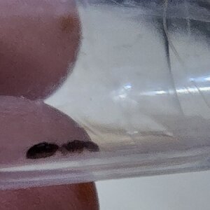 20220626_214026.jpg