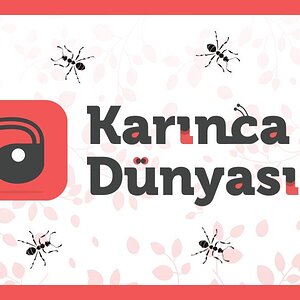 Karınca-Dünyası-sosyal-paylasim.jpg