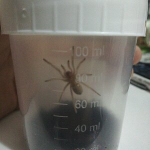 IMG-20220628-WA0000.jpeg