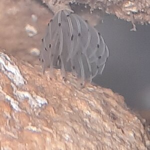 20220709_003221.jpg