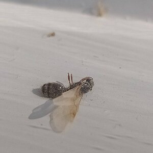 IMG_20220709_162442.jpg