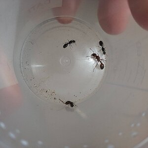 20220707_200149.jpg