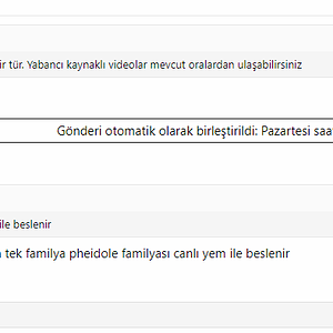 Opera Anlık Görüntü_2022-07-16_050748_www.karincaciftligim.com.png