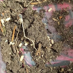 photo_2022-07-18_23-53-30.jpg