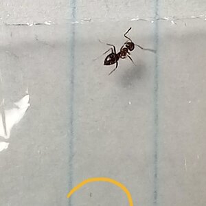 20220719_113111.jpg