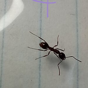 20220719_115557.jpg
