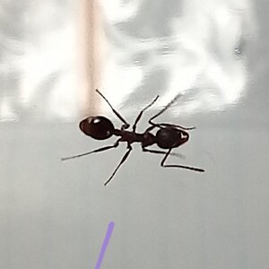 20220719_115633.jpg