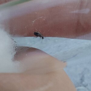 20220719_201621.jpg