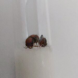 20220720_204430.jpg