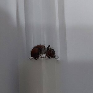 20220720_204437.jpg